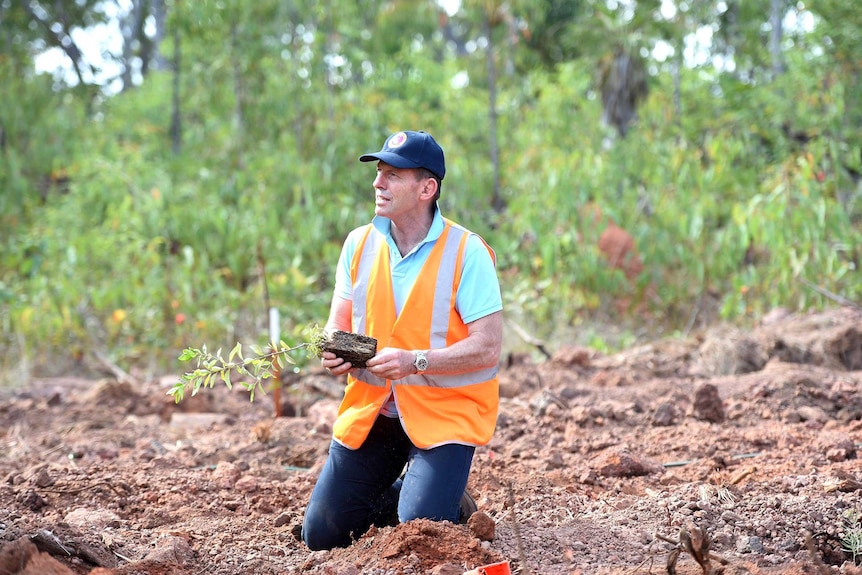 PM plants trees