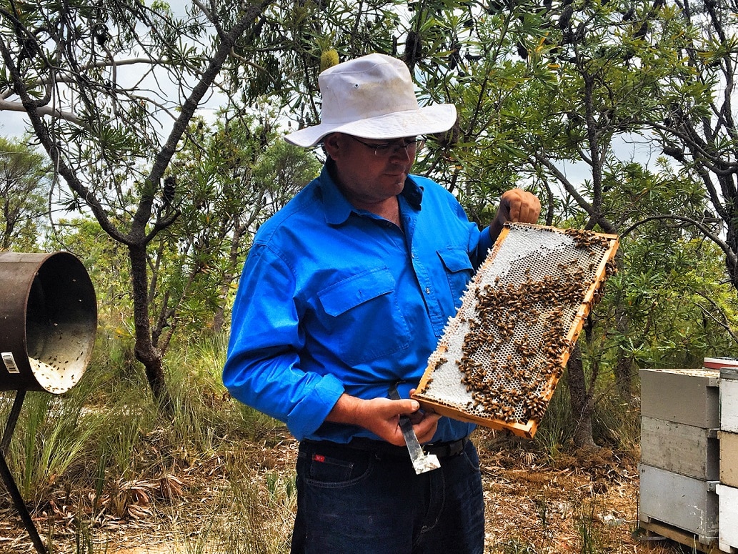 Queensland Beekeepers' Access To National Parks To Be Extended For 20 ...