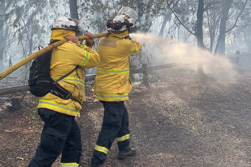 Firefighters battling the spread of a blaze at Turramurra.