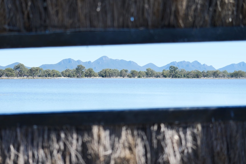 A view of a large body of water, trees and mountains seen through a bird hide.