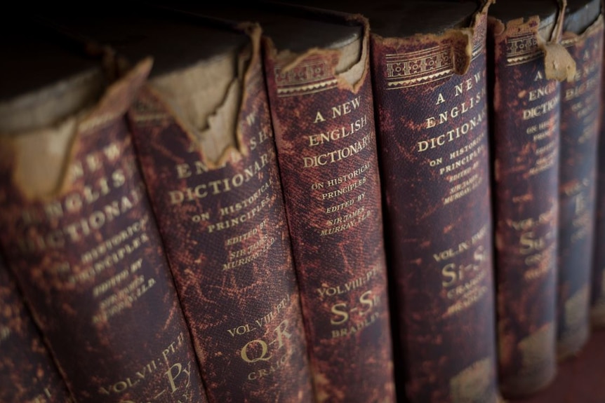 Close-up shot of five volumes of old, worn dictionary spines, with 'A New English Dictionary on Historical Principles' on them.