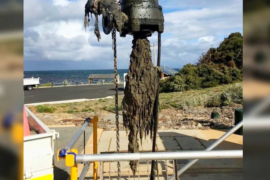 A 'fatberg' unearthed from a sewer at a seaside town