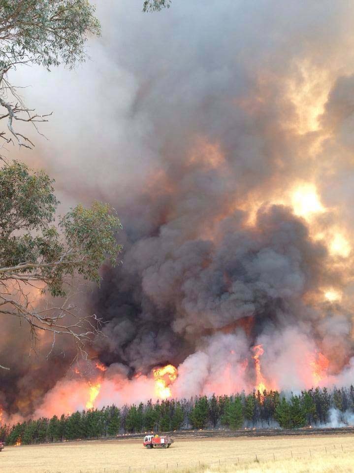 Minnimbah bushfire