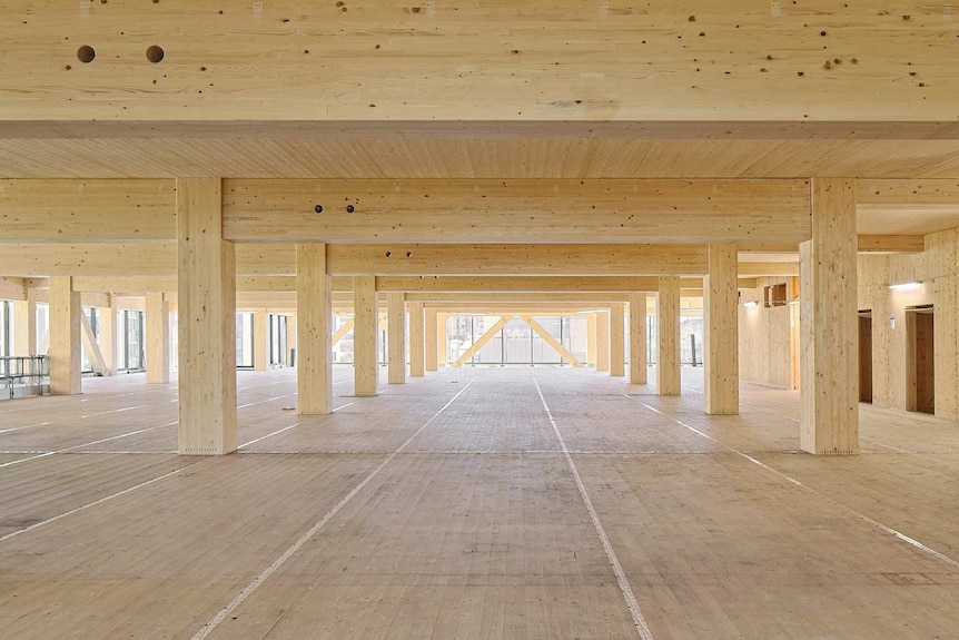 Filas de madera aparecen en el interior de un edificio durante la construcción.