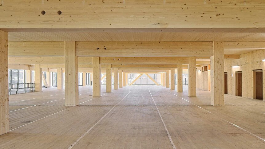 Rows of timber are seen in the interior of a building in construction.