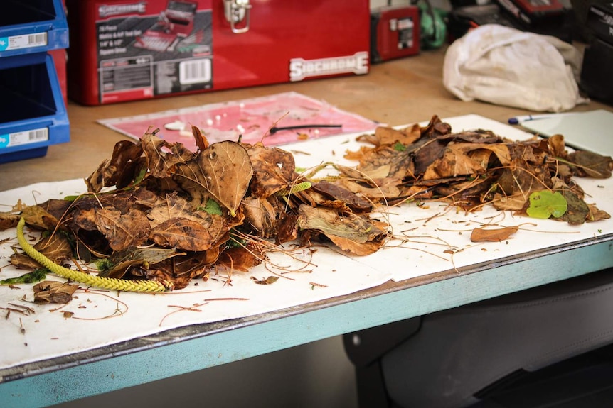 Sea debris being sorted