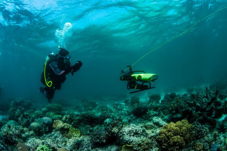 How IVF-type technology is giving dying coral on the Great Barrier Reef ...