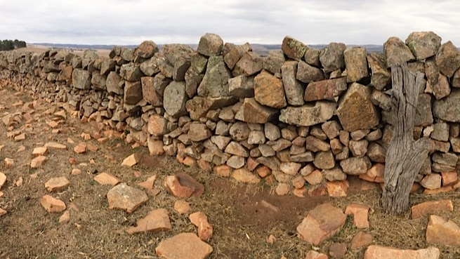 Camel Hump dry stone wall.