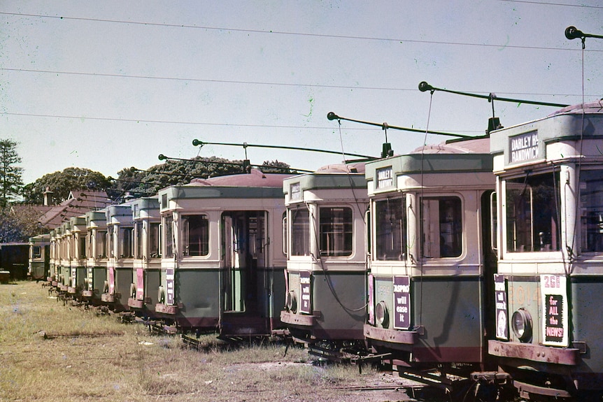 Trams lined up ready to be disposed of at Randwick