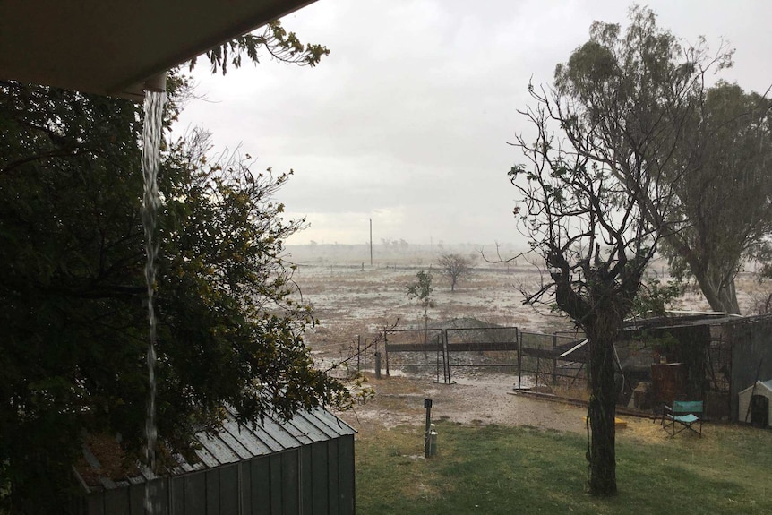 An outback back garden at Prairie in central Qld drenched in water after heavy rain for several days.