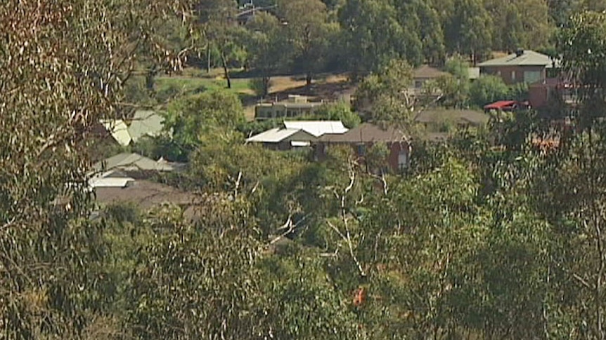 Rooftops almost obscured by trees in Eltham, Victoria