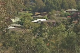 Rooftops almost obscured by trees in Eltham, Victoria