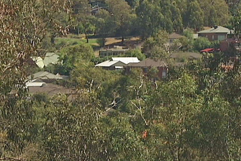 Rooftops almost obscured by trees in Eltham, Victoria
