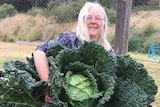 The giant cabbage grown by Rosemary Norwood