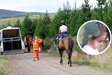 Composite image of search horses and Shalya Phillips