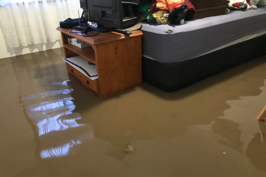 Murky brown floodwater in a bedroom.