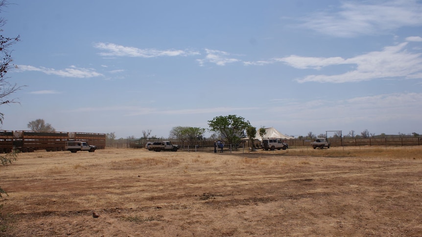 The campdraft arena at Pussy Cat Bore, on Montejinni Station.