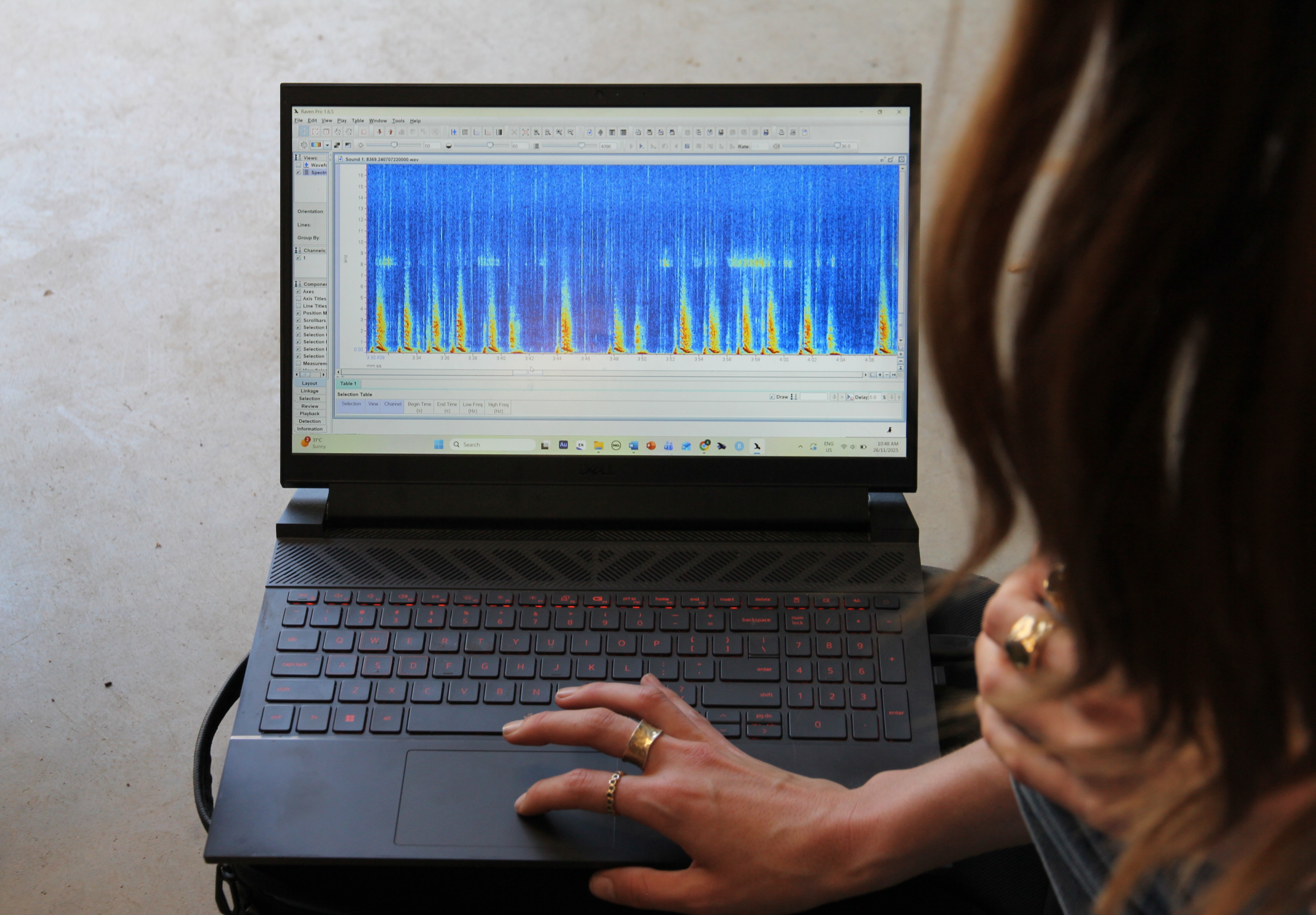 Uma foto de uma tela de computador com o arquivo wave dos sons das baleias.