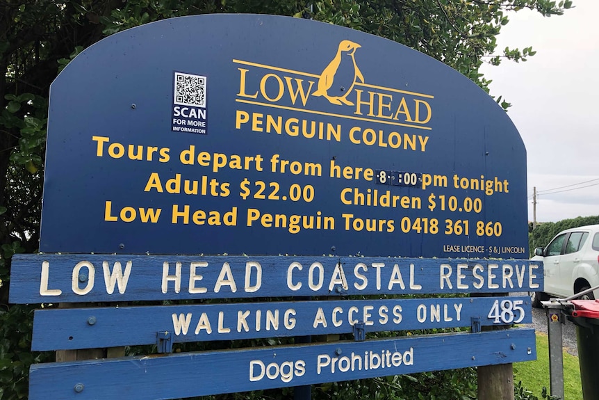 Low Head sign