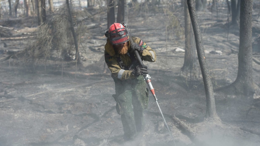 Firefighter uses hose to dowse a blackened forest