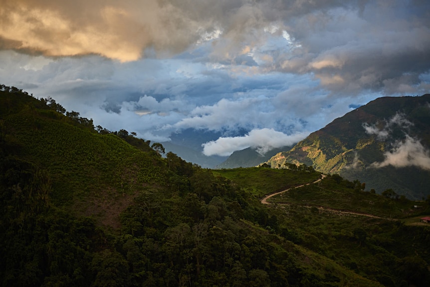 Clouds hang low over jungle-covered mountains with a road winding through them