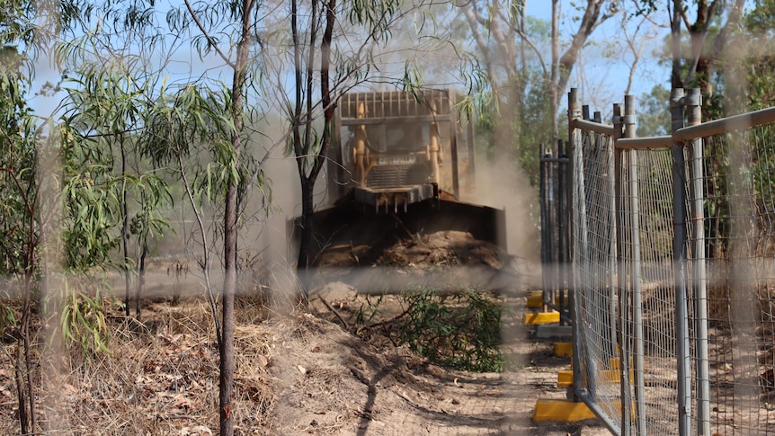 A bulldozer pushes shrubs over.