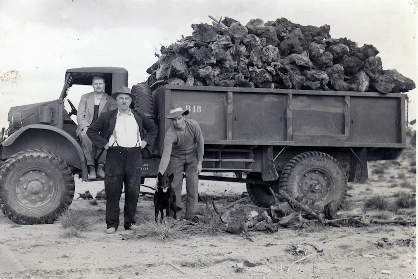 Black and white photo showing three men and a dog stand next to an old-style truck filled with tree stumps.
