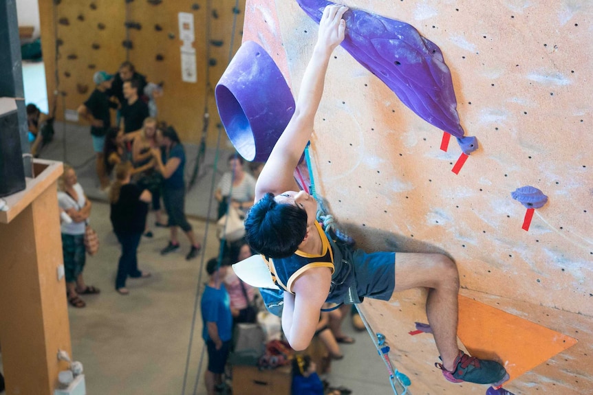 A climber scales a wall at a climbing gym in Western Sydney.