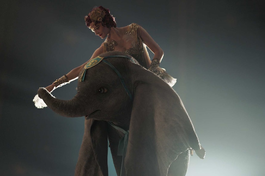 The actor stands behind Dumbo and places a white feather into his trunk.