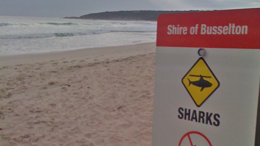 Shark sign Busselton