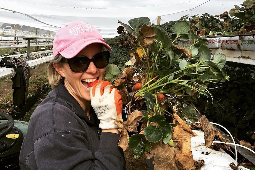 A blond woman in a pink cap smiles at the camera with a strawberry in her mount, holding a strawberry plant in her other hand.