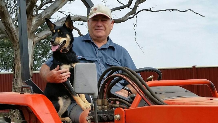 Viv Coady on tractor with kelpie