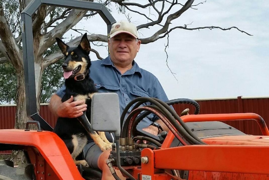 Viv Coady on tractor with kelpie