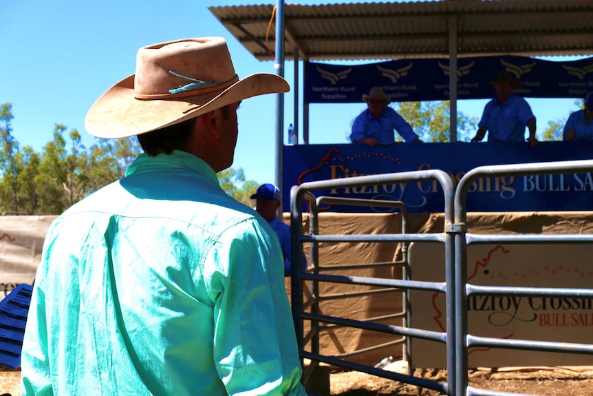 A man wearing an Akubra facing the cattle sale ring