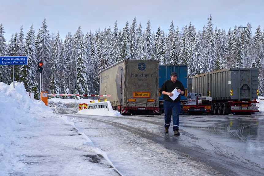 Three trucks are parked in an icy carpark with snow-covered pine trees bordering it.