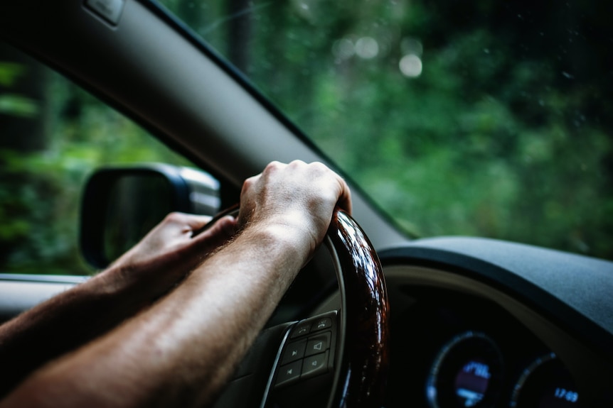 A close up of two hands on a steering wheel in a car driving through a forest