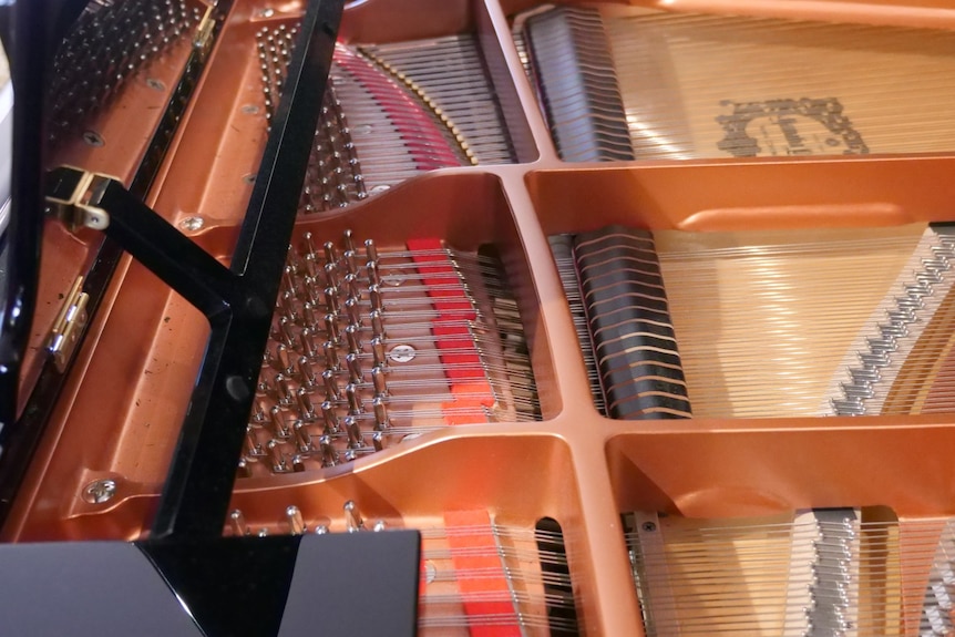 the inside of a grand piano showing strings and keys
