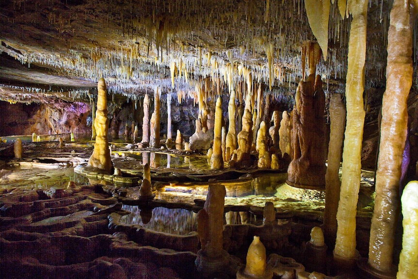 A colourfully lit cave interior with stalactites, stalagmites and pools of water