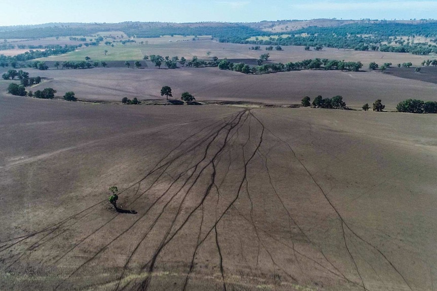 Aerial view of drought hit brown paddocks and trees hugging creek beds.
