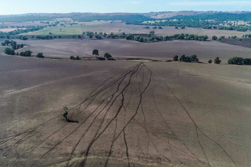 Aerial view of drought hit brown paddocks and trees hugging creek beds