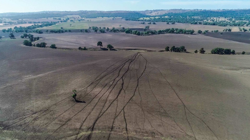 Aerial view of drought hit brown paddocks and trees hugging creek beds