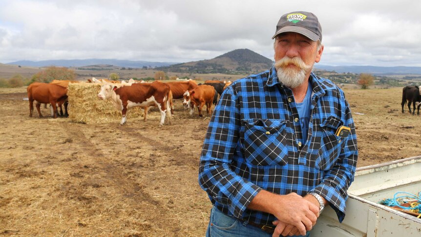 A farmer leans on his ute with cows in the background.