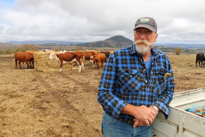 A farmer leans on his ute with cows in the background.