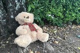 A teddy bear rests against a tree trunk.