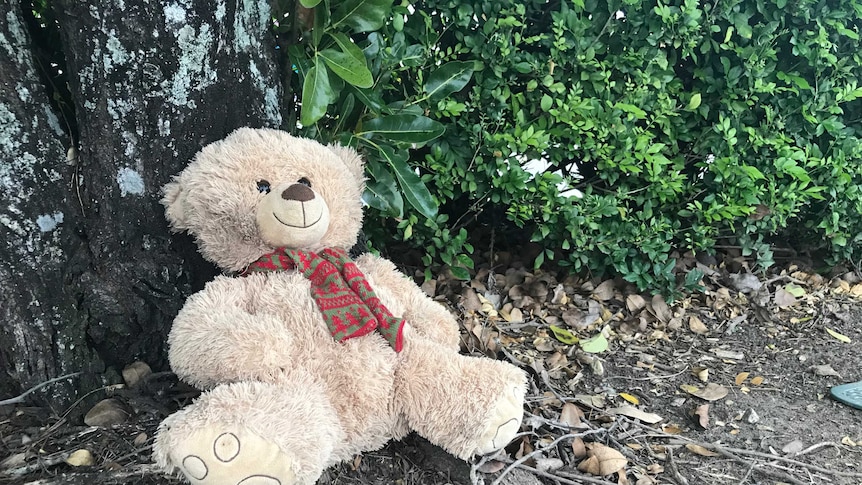 A teddy bear rests against a tree trunk.