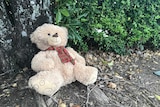 A teddy bear rests against a tree trunk.