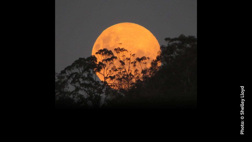 A large full moon on the horizon.