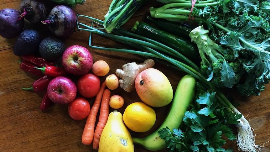 A collection of fresh produce on a table, including an eggplant, kale, apples, ginger and carrots.