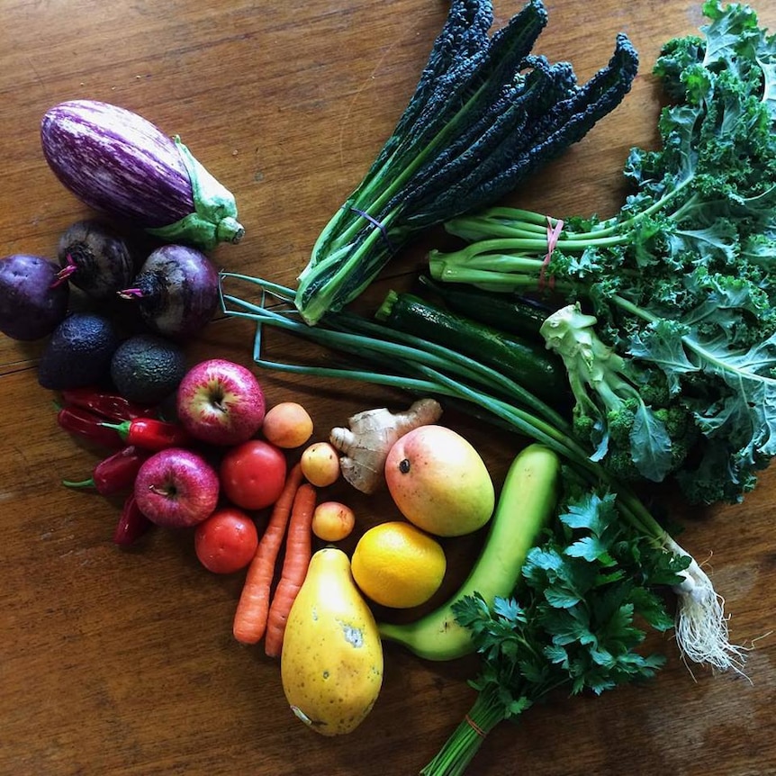 A collection of fresh produce on a table, including an eggplant, kale, apples, ginger and carrots.
