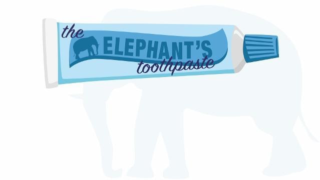 Graphic image of a tube of toothpaste with label "The Elephant's Toothpaste"